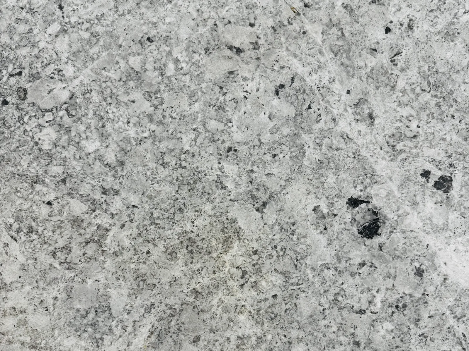 Close-up of a limestone slab surface
