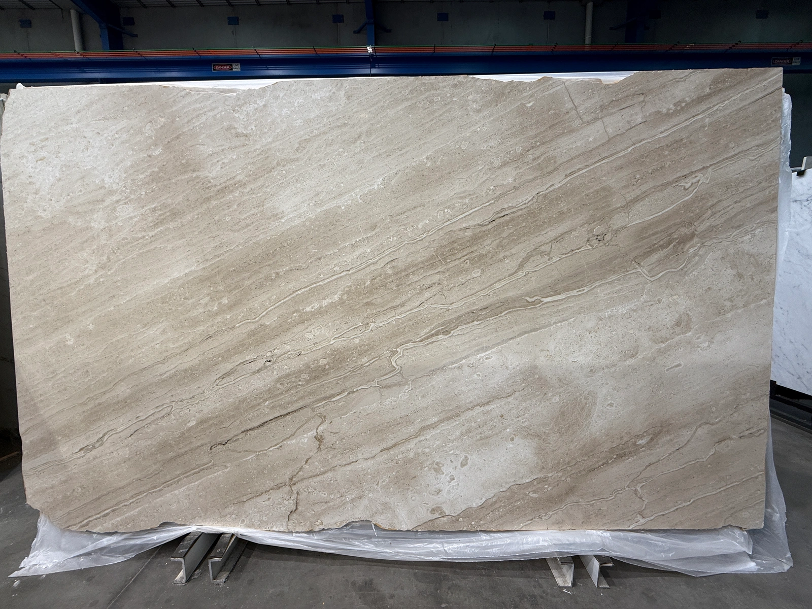 Daino Reale full slab