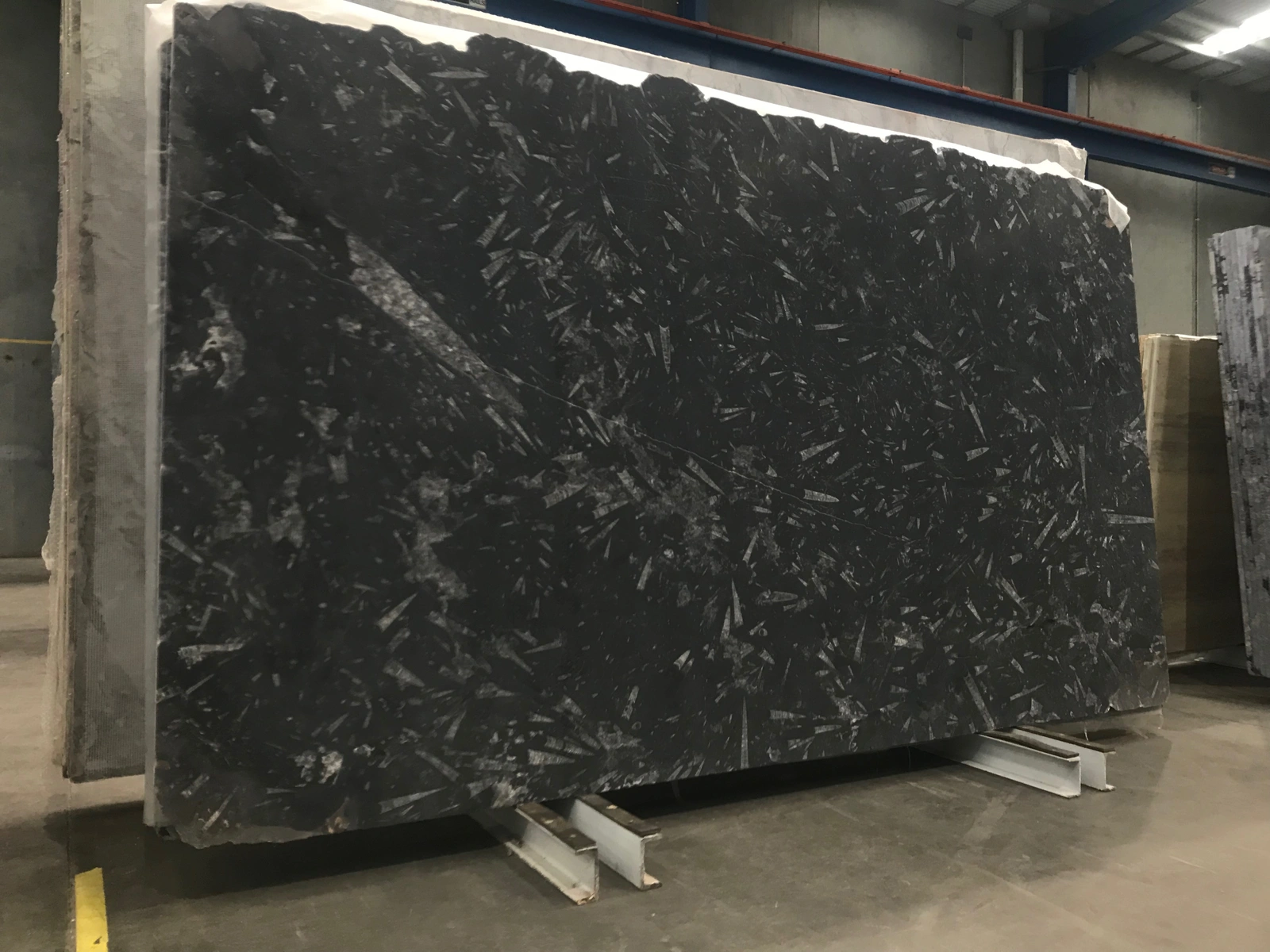 Fossil Black full slab