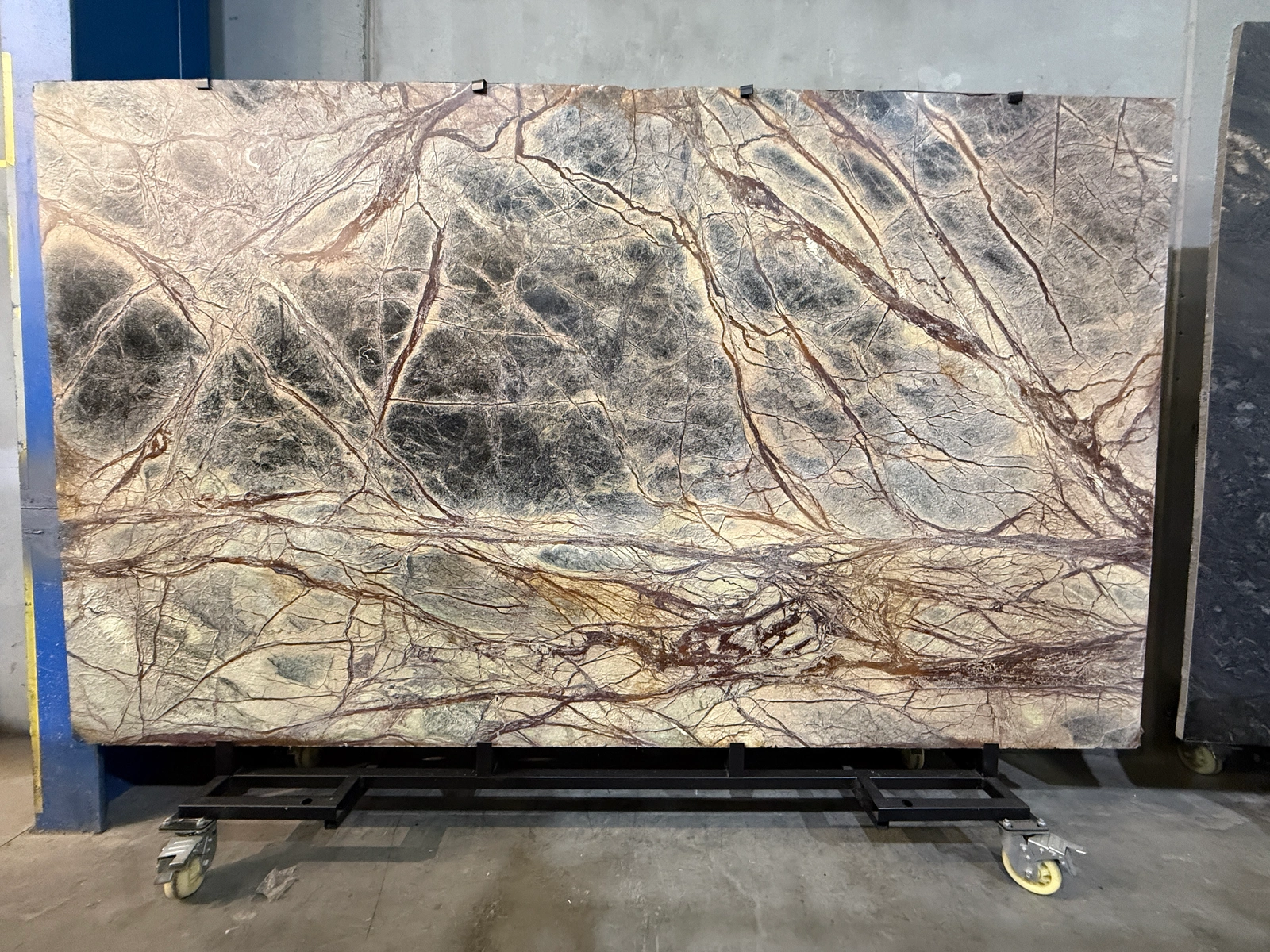 Rainforest Multicolour full slab