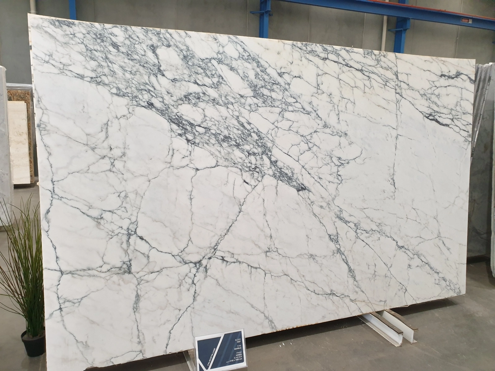 Calacatta Luxe full slab