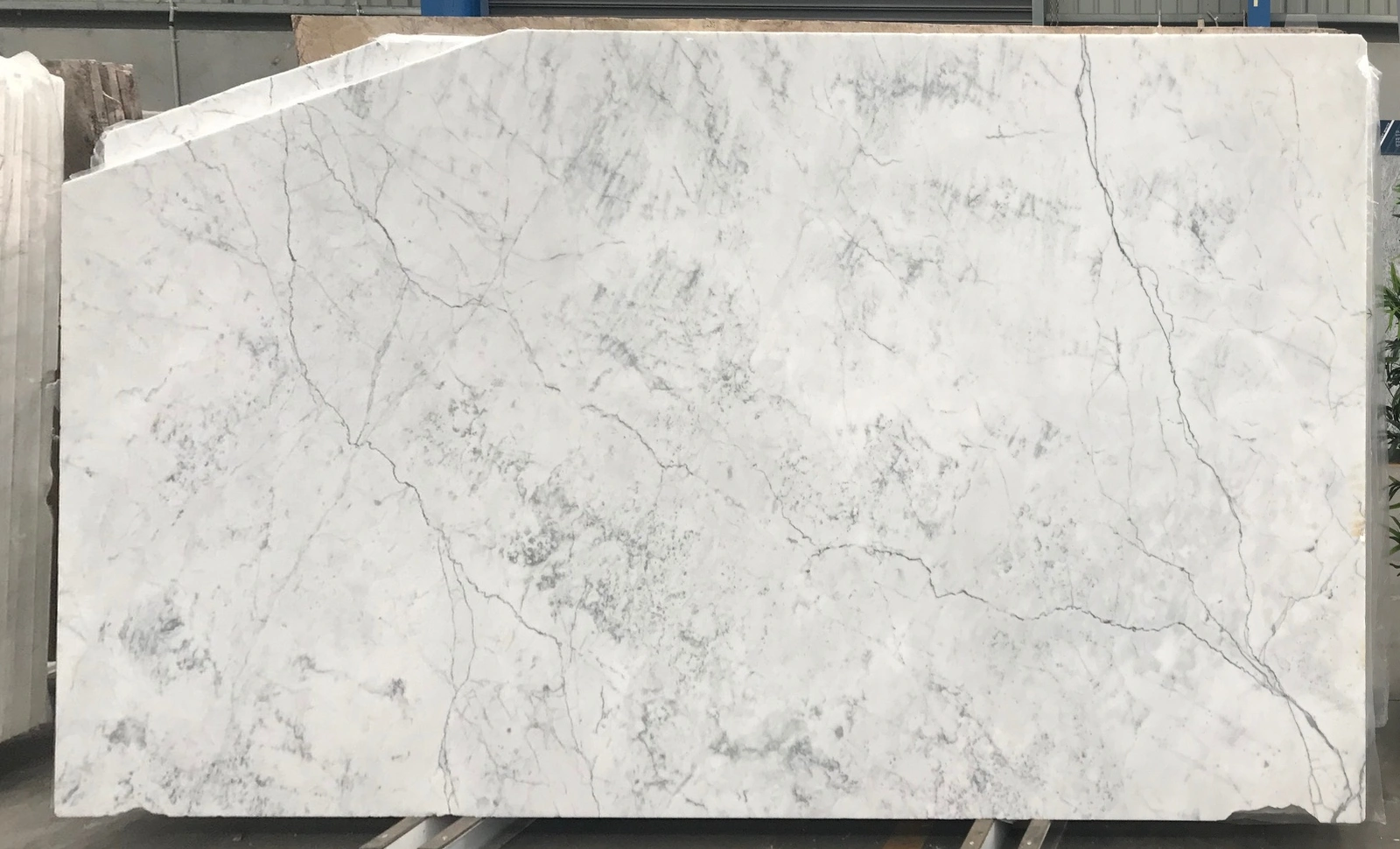 Statuarietto full slab