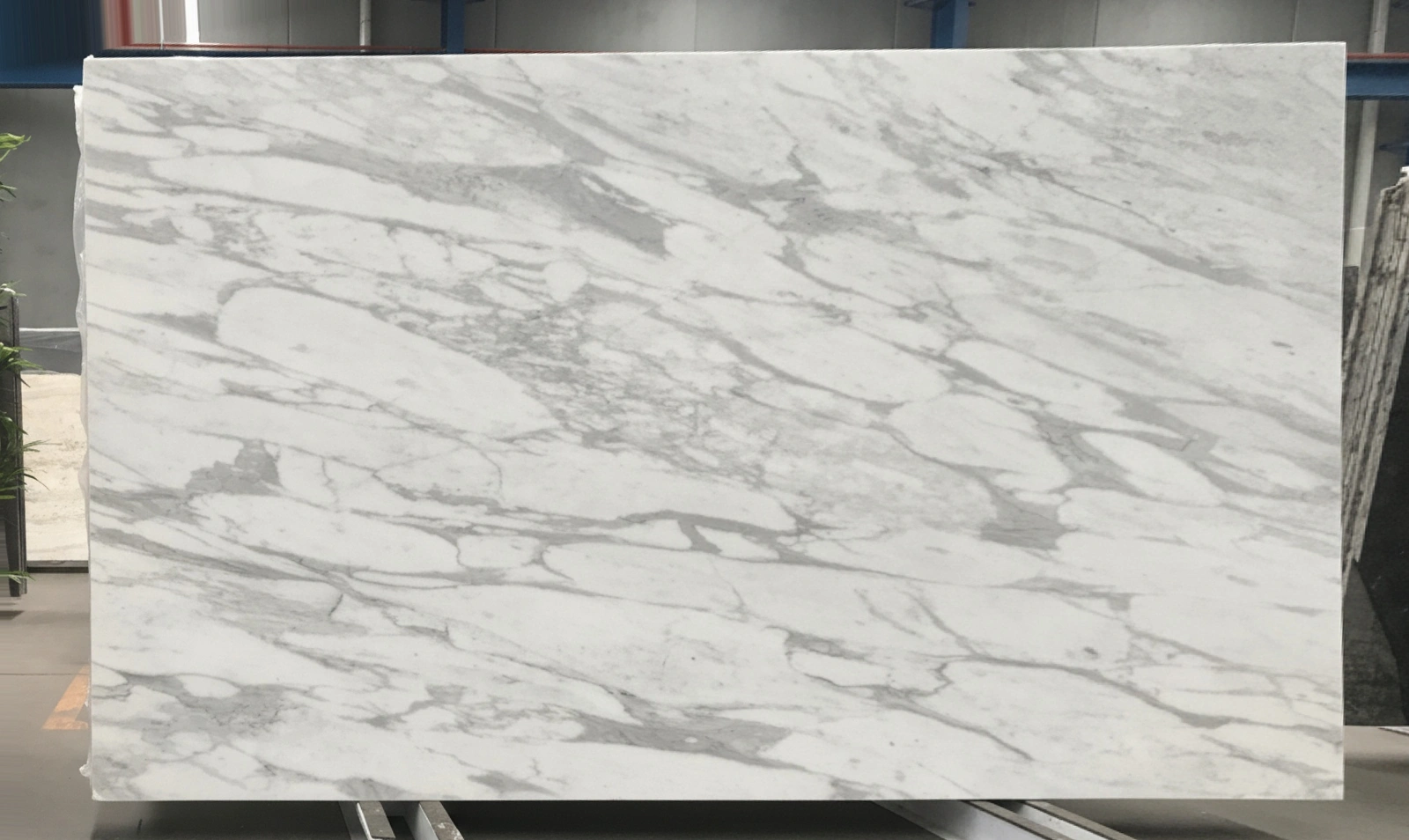 Calacatta Luna full slab