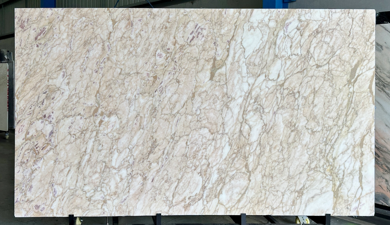 Arabescato Antico full slab